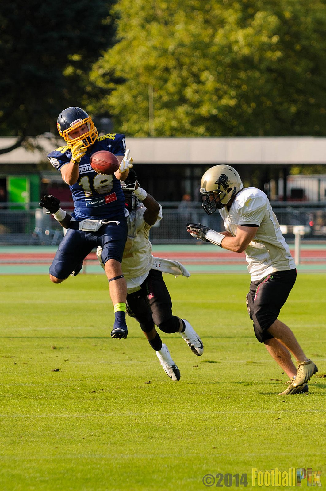Essen Assindia Cardinals vs. Paderborn Dolphins - 23.08.2014 Essen Assindia Cardinals vs. Paderborn Dolphins (7:35) 
