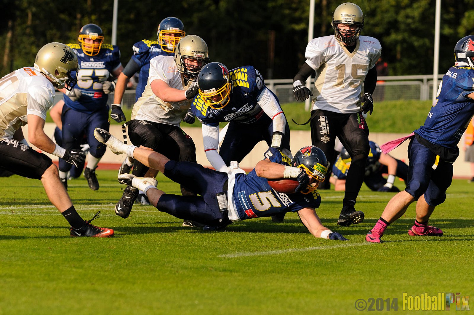 Essen Assindia Cardinals vs. Paderborn Dolphins - 23.08.2014 Essen Assindia Cardinals vs. Paderborn Dolphins (7:35) 