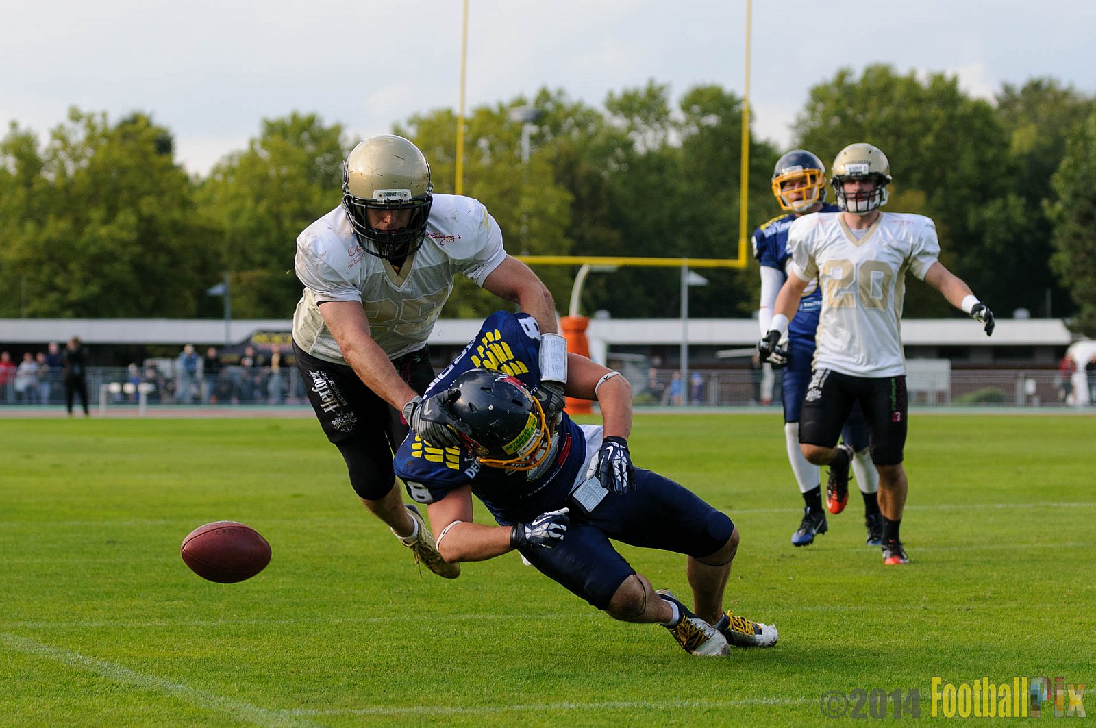 Essen Assindia Cardinals vs. Paderborn Dolphins - 23.08.2014 Essen Assindia Cardinals vs. Paderborn Dolphins (7:35) 