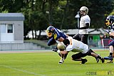 Essen Assindia Cardinals vs. Paderborn Dolphins - 23.08.2014 Essen Assindia Cardinals vs. Paderborn Dolphins (7:35) 