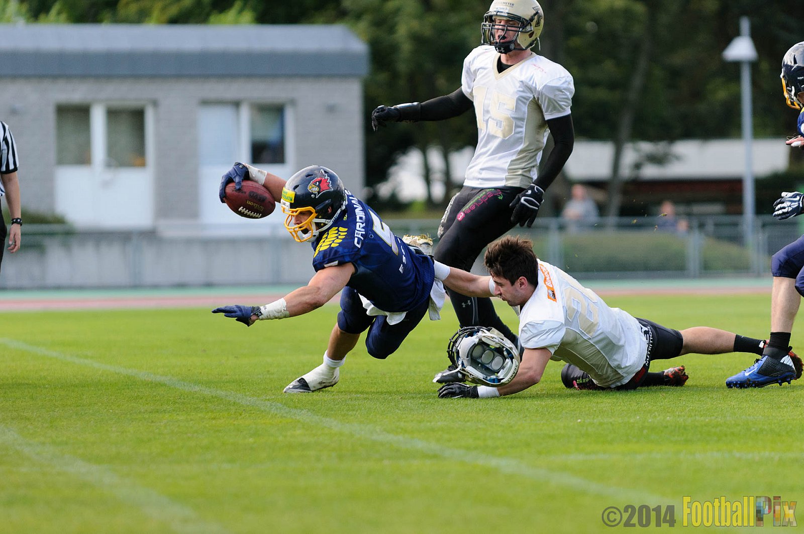 Essen Assindia Cardinals vs. Paderborn Dolphins - 23.08.2014 Essen Assindia Cardinals vs. Paderborn Dolphins (7:35) 