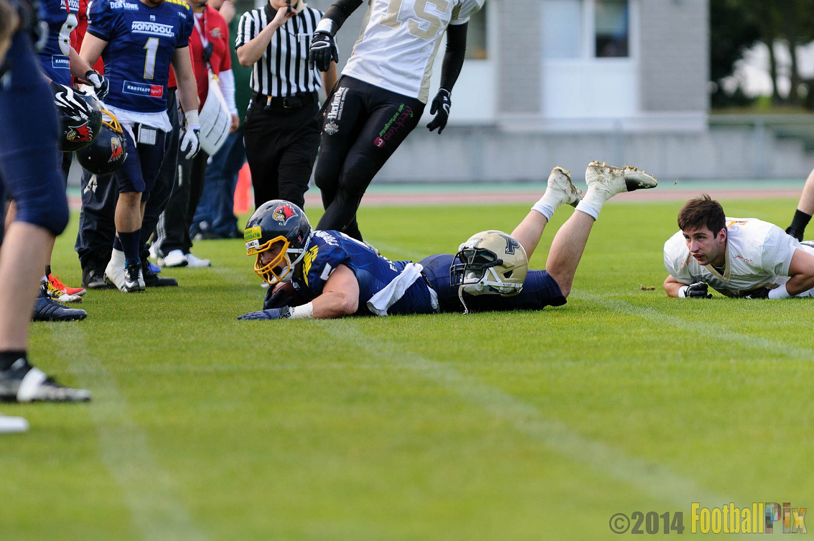 Essen Assindia Cardinals vs. Paderborn Dolphins - 23.08.2014 Essen Assindia Cardinals vs. Paderborn Dolphins (7:35) 