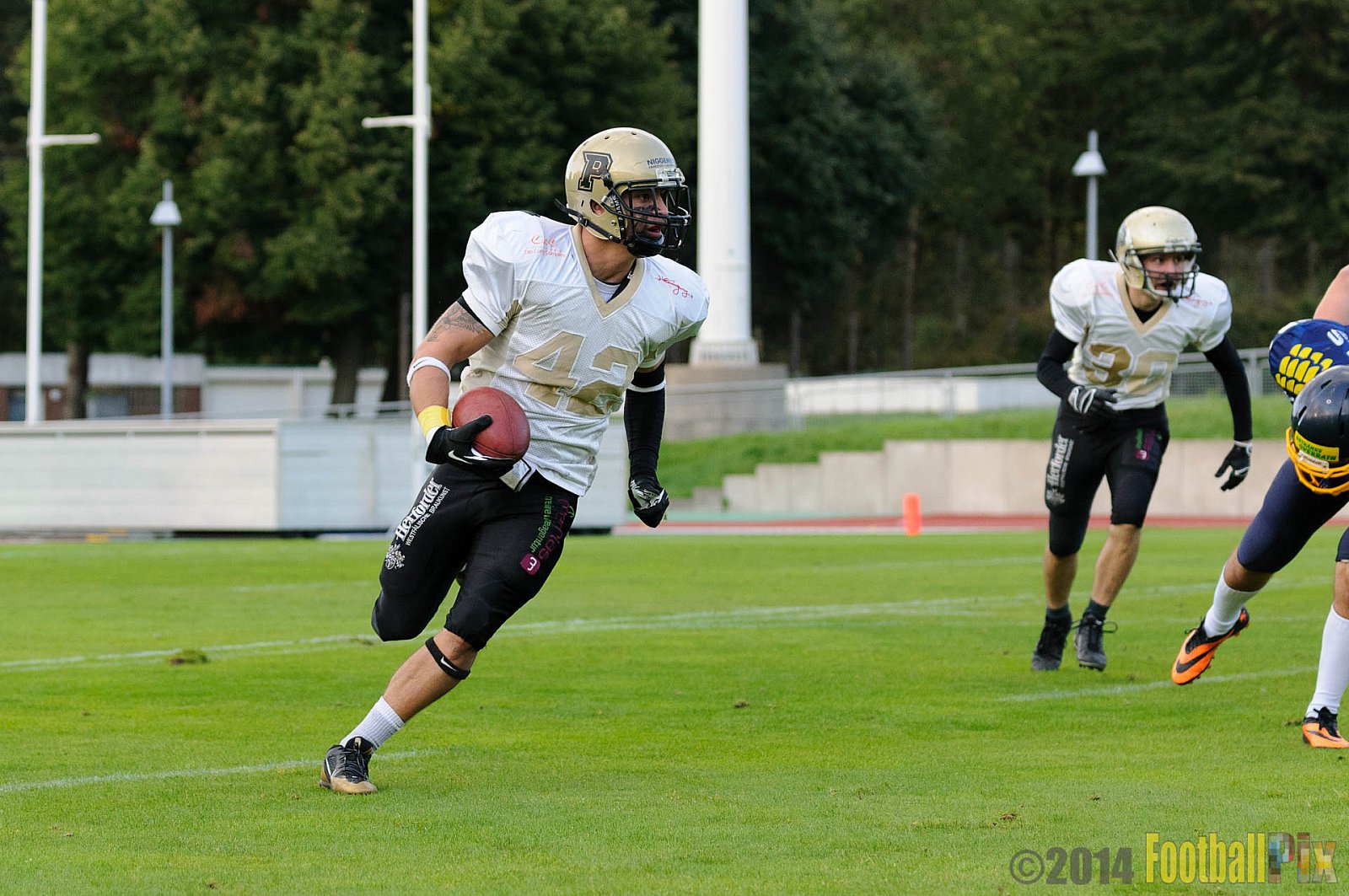Essen Assindia Cardinals vs. Paderborn Dolphins - 23.08.2014 Essen Assindia Cardinals vs. Paderborn Dolphins (7:35) 