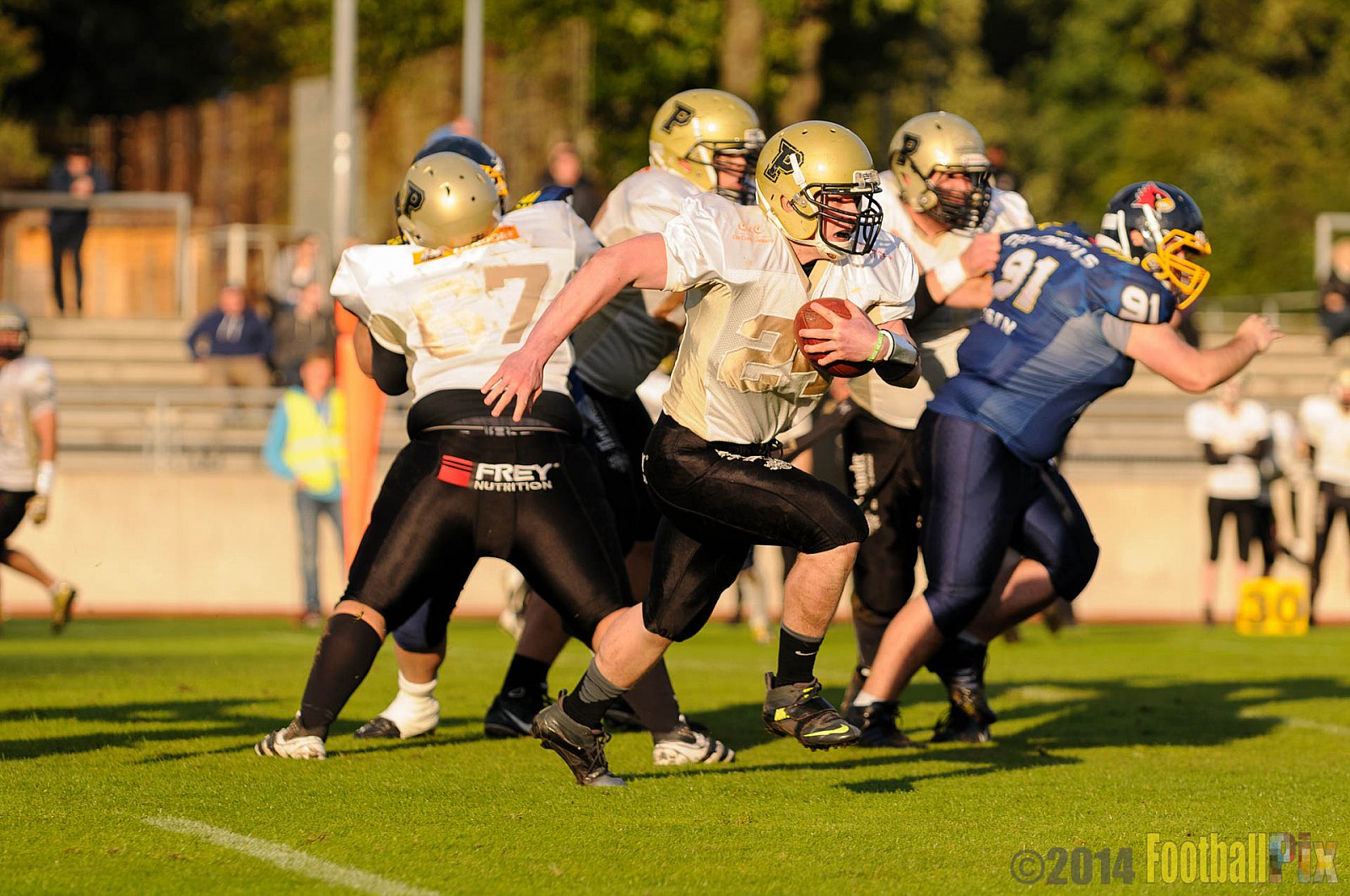 Essen Assindia Cardinals vs. Paderborn Dolphins - 23.08.2014 Essen Assindia Cardinals vs. Paderborn Dolphins (7:35) 