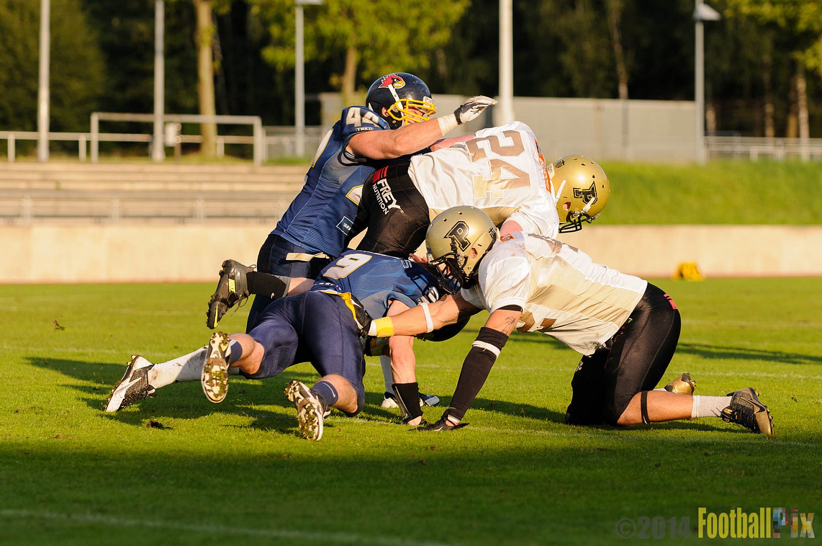 Essen Assindia Cardinals vs. Paderborn Dolphins - 23.08.2014 Essen Assindia Cardinals vs. Paderborn Dolphins (7:35) 