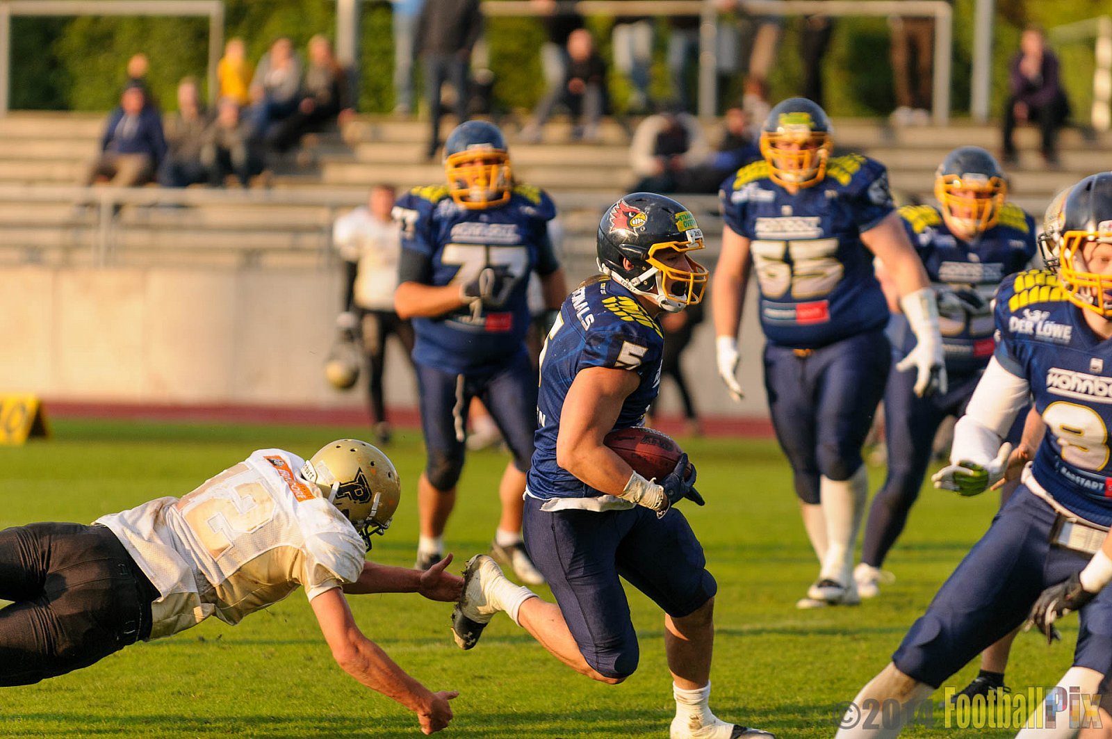 Essen Assindia Cardinals vs. Paderborn Dolphins - 23.08.2014 Essen Assindia Cardinals vs. Paderborn Dolphins (7:35) 