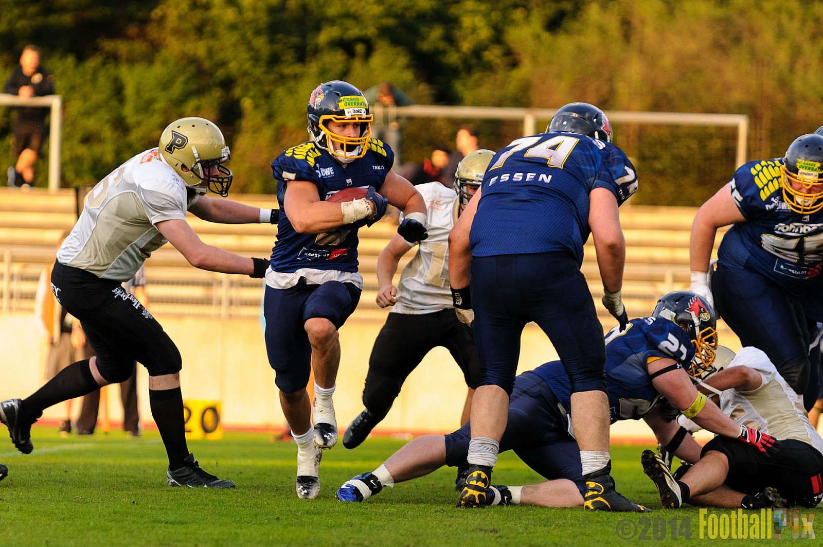 Essen Assindia Cardinals vs. Paderborn Dolphins - 23.08.2014 Essen Assindia Cardinals vs. Paderborn Dolphins (7:35) 