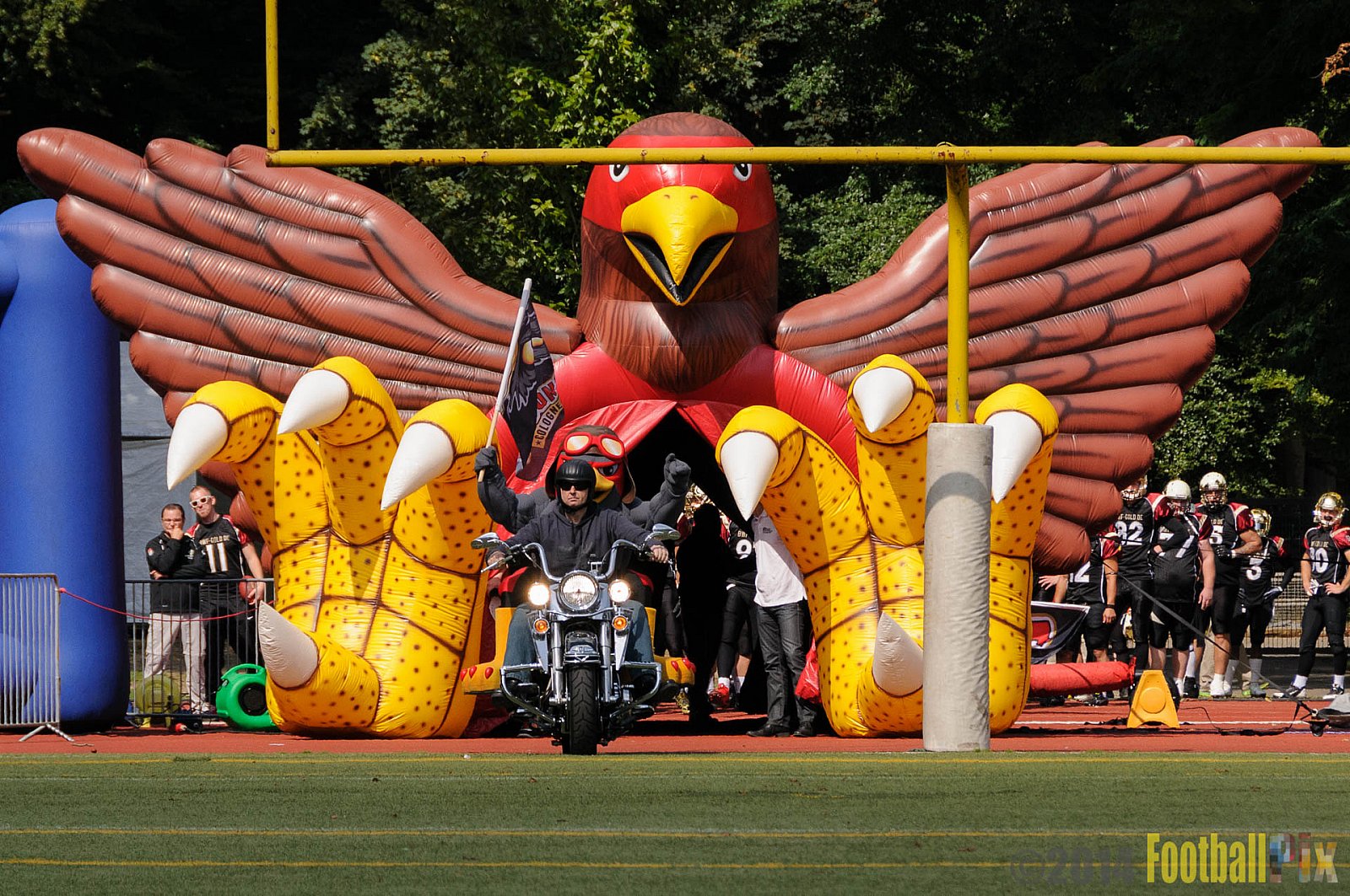 Köln Falcons vs. Dresden Monarchs - 24.08.2014 GFL Nord: Köln Falcons vs. Dresden Monarchs (25:39) 