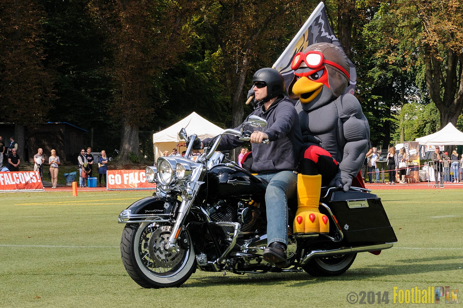 Köln Falcons vs. Dresden Monarchs - 24.08.2014 GFL Nord: Köln Falcons vs. Dresden Monarchs (25:39) 