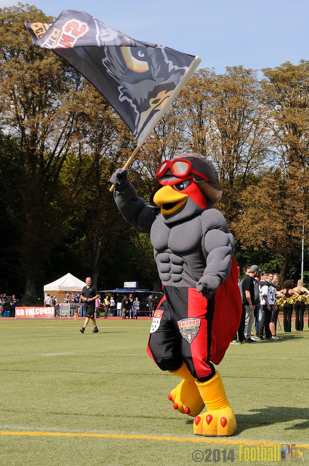Köln Falcons vs. Dresden Monarchs - 24.08.2014 GFL Nord: Köln Falcons vs. Dresden Monarchs (25:39) 