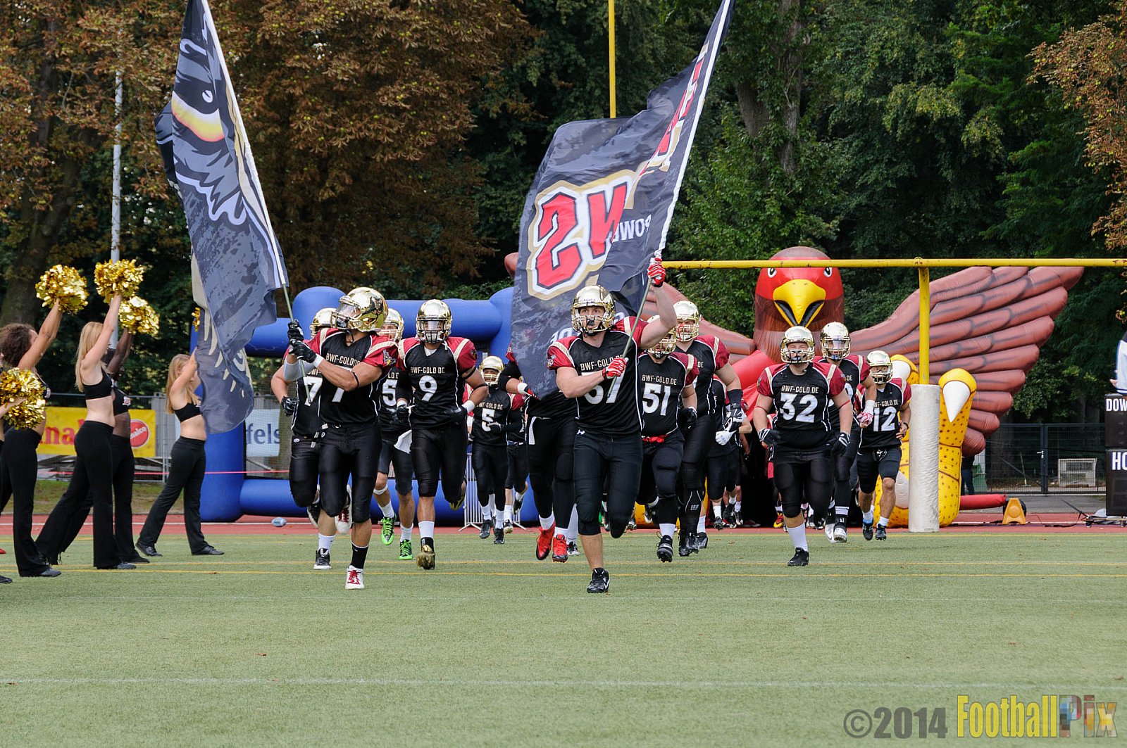 Köln Falcons vs. Dresden Monarchs - 24.08.2014 GFL Nord: Köln Falcons vs. Dresden Monarchs (25:39) 