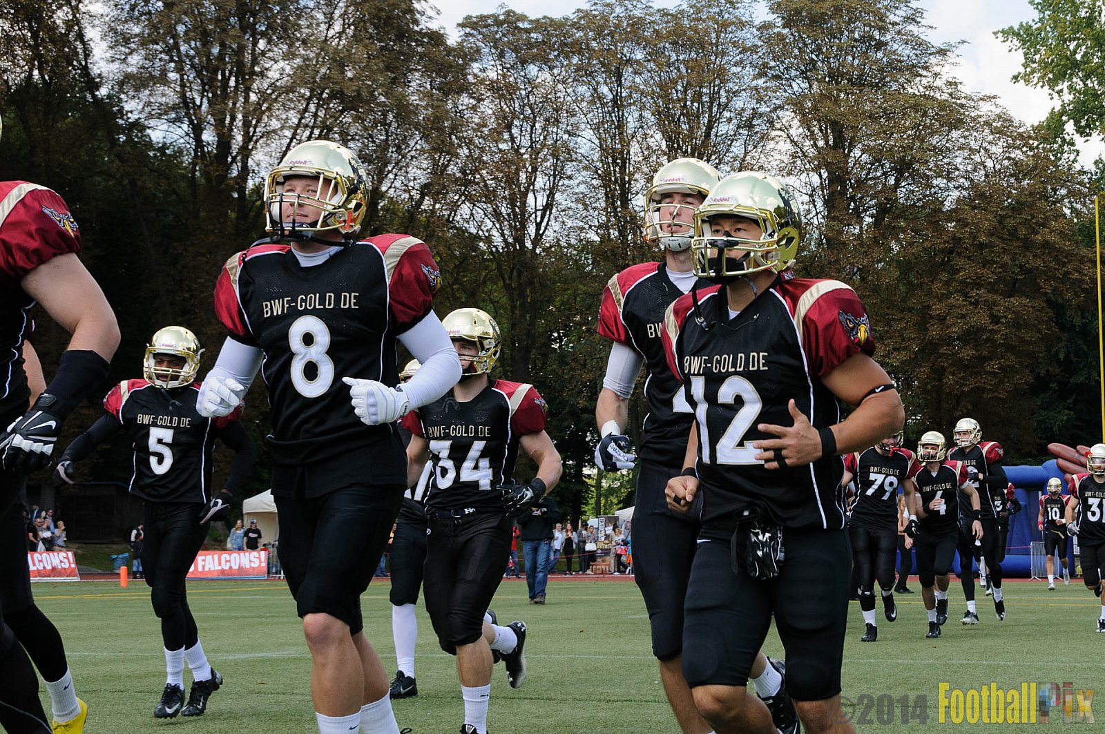 Köln Falcons vs. Dresden Monarchs - 24.08.2014 GFL Nord: Köln Falcons vs. Dresden Monarchs (25:39) 