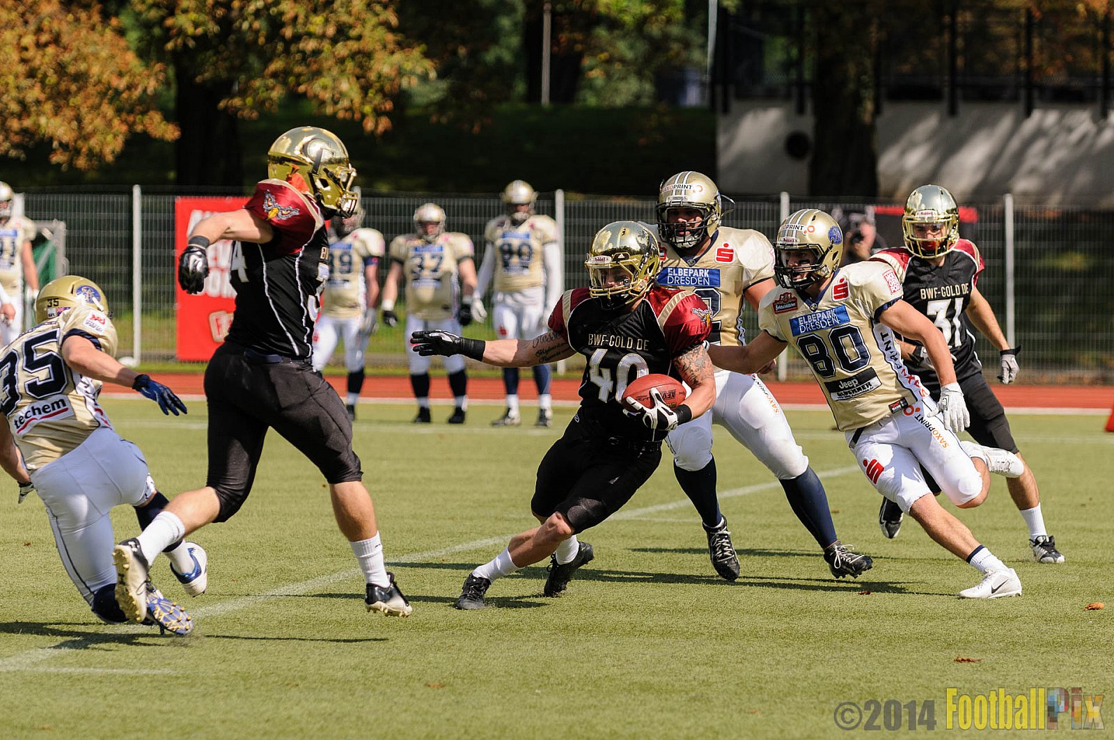 Köln Falcons vs. Dresden Monarchs - 24.08.2014 GFL Nord: Köln Falcons vs. Dresden Monarchs (25:39) 