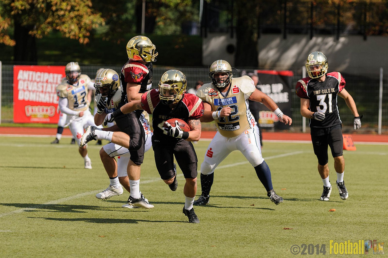 Köln Falcons vs. Dresden Monarchs - 24.08.2014 GFL Nord: Köln Falcons vs. Dresden Monarchs (25:39) 