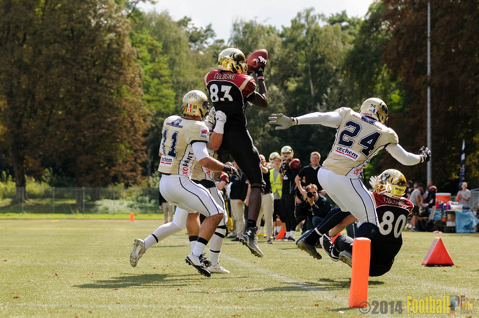 Köln Falcons vs. Dresden Monarchs - 24.08.2014 GFL Nord: Köln Falcons vs. Dresden Monarchs (25:39) 