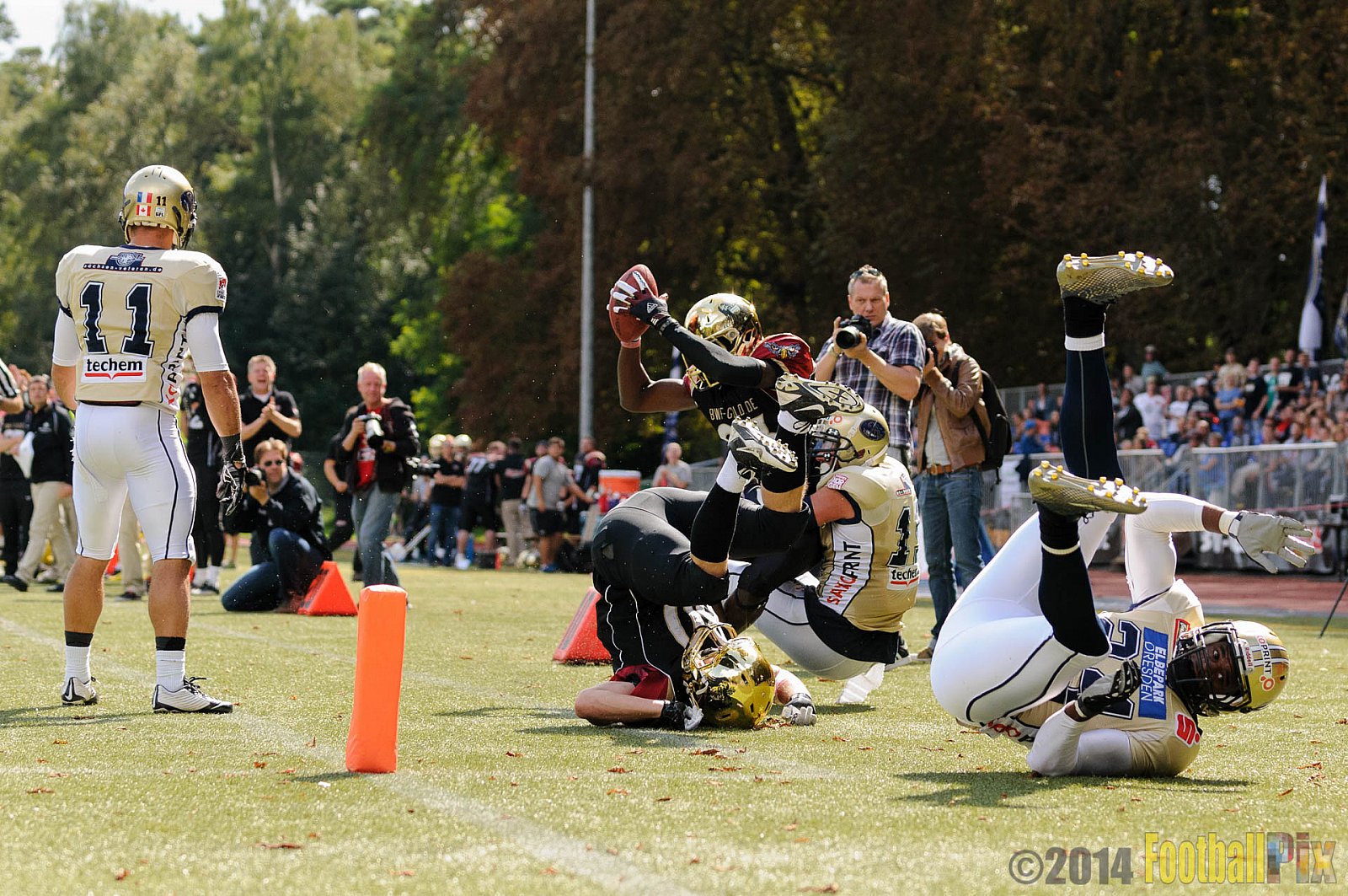 Köln Falcons vs. Dresden Monarchs - 24.08.2014 GFL Nord: Köln Falcons vs. Dresden Monarchs (25:39) 