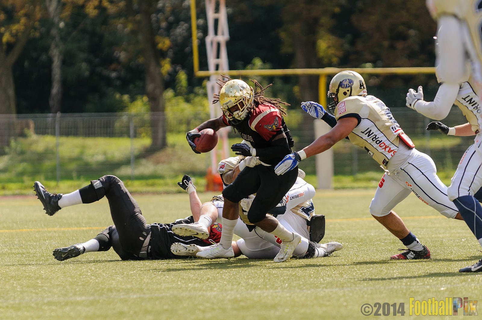 Köln Falcons vs. Dresden Monarchs - 24.08.2014 GFL Nord: Köln Falcons vs. Dresden Monarchs (25:39) 