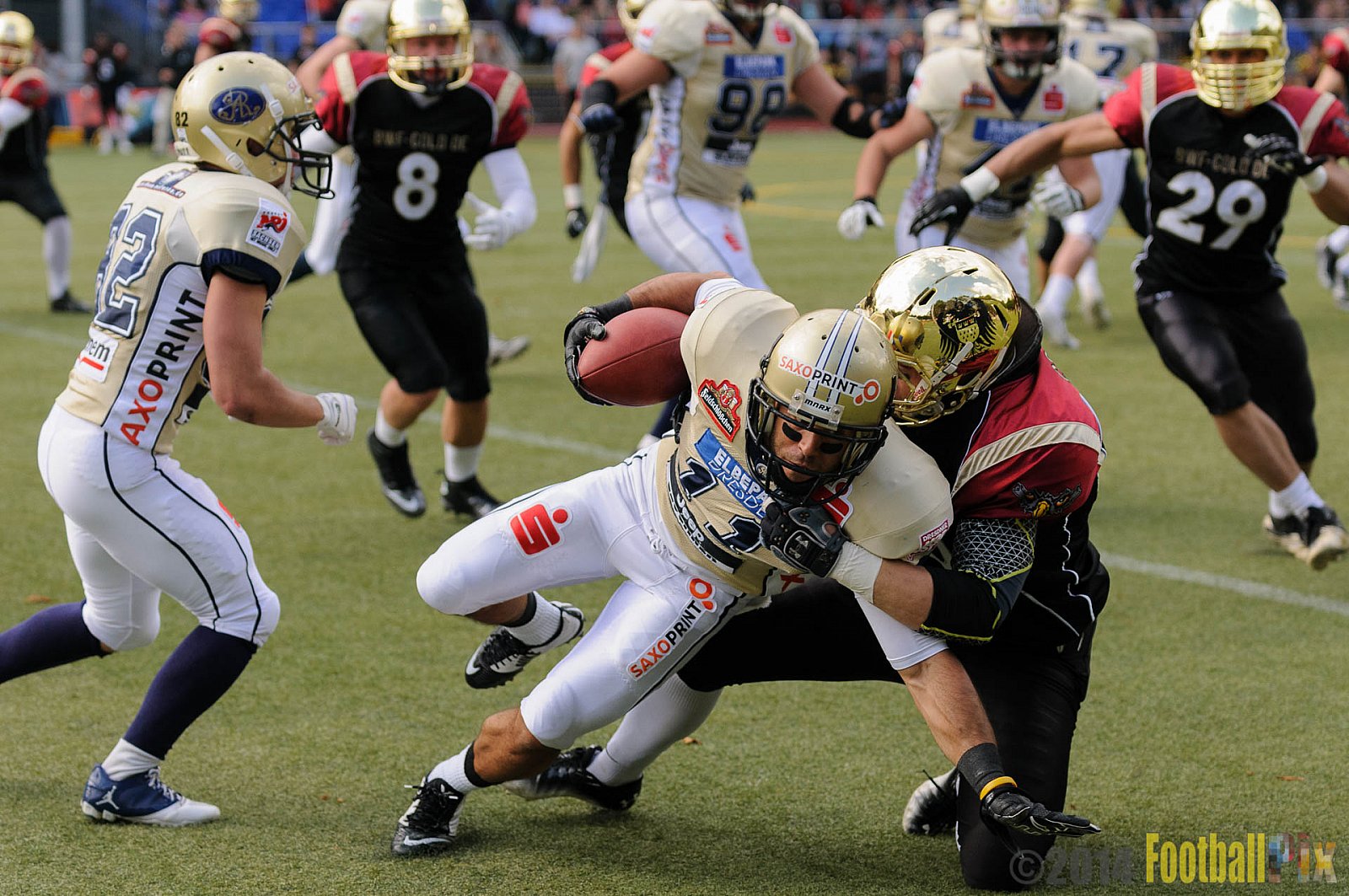 Köln Falcons vs. Dresden Monarchs - 24.08.2014 GFL Nord: Köln Falcons vs. Dresden Monarchs (25:39) 