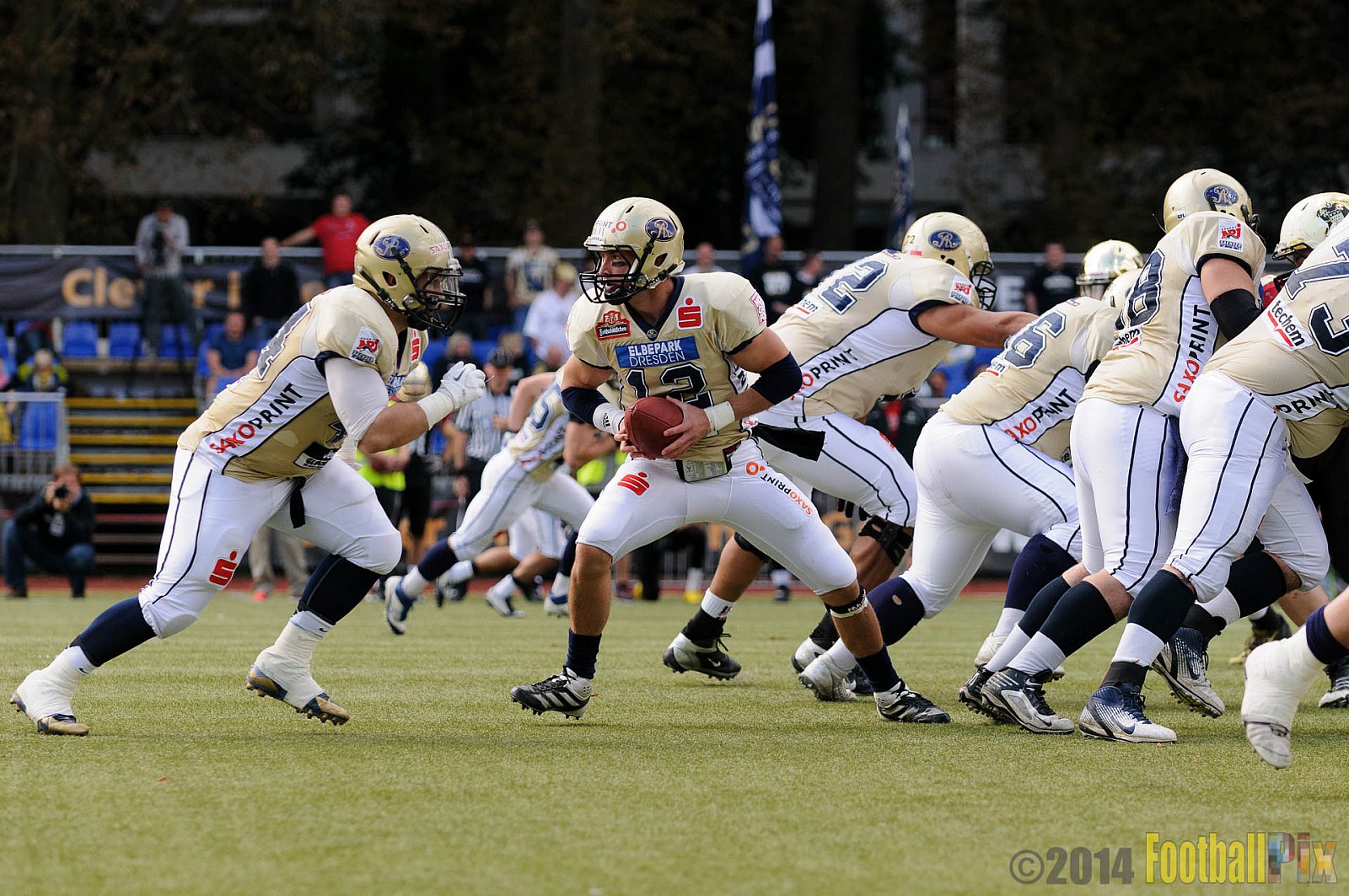 Köln Falcons vs. Dresden Monarchs - 24.08.2014 GFL Nord: Köln Falcons vs. Dresden Monarchs (25:39) 