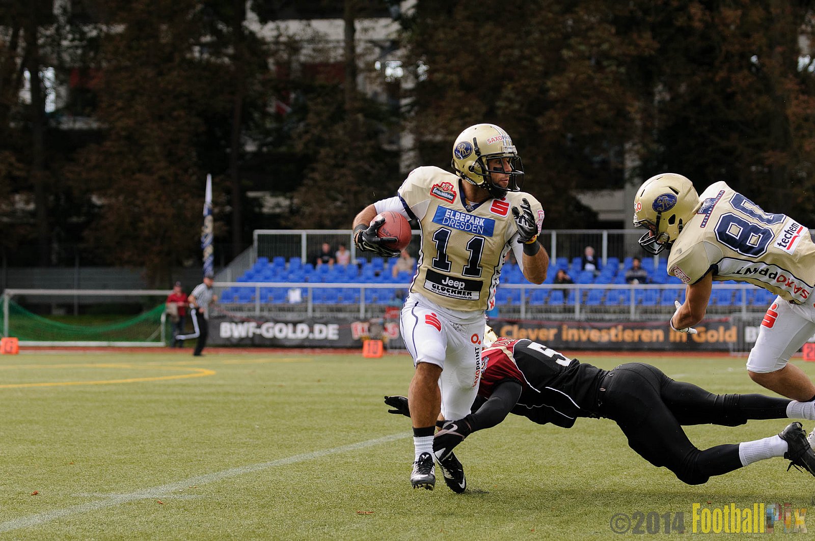 Köln Falcons vs. Dresden Monarchs - 24.08.2014 GFL Nord: Köln Falcons vs. Dresden Monarchs (25:39) 
