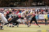 Köln Falcons vs. Dresden Monarchs - 24.08.2014 GFL Nord: Köln Falcons vs. Dresden Monarchs (25:39) 