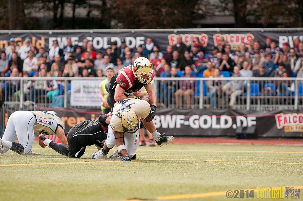 Köln Falcons vs. Dresden Monarchs - 24.08.2014 GFL Nord: Köln Falcons vs. Dresden Monarchs (25:39) 