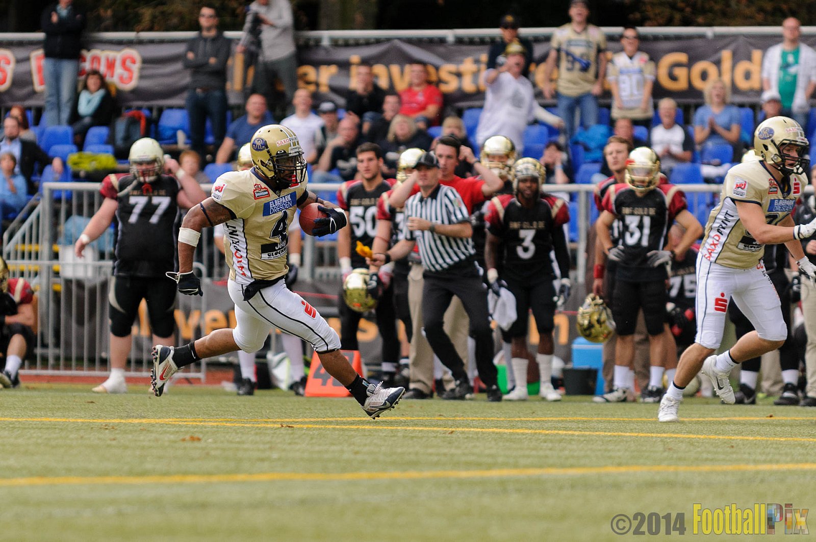 Köln Falcons vs. Dresden Monarchs - 24.08.2014 GFL Nord: Köln Falcons vs. Dresden Monarchs (25:39) 