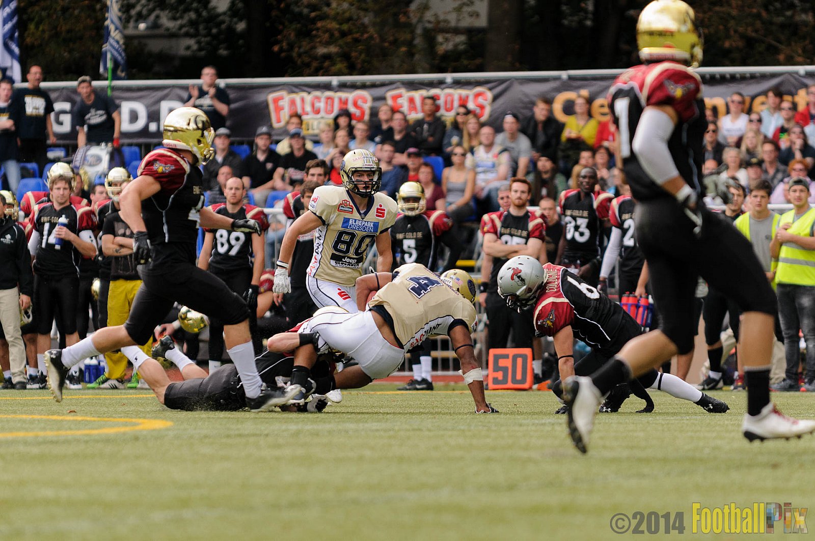 Köln Falcons vs. Dresden Monarchs - 24.08.2014 GFL Nord: Köln Falcons vs. Dresden Monarchs (25:39) 