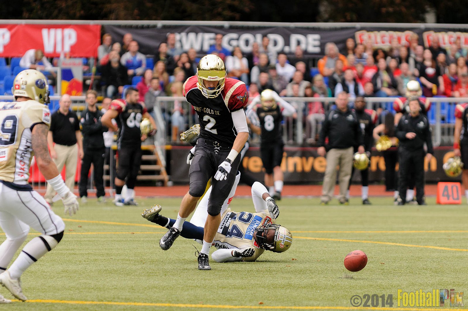 Köln Falcons vs. Dresden Monarchs - 24.08.2014 GFL Nord: Köln Falcons vs. Dresden Monarchs (25:39) 