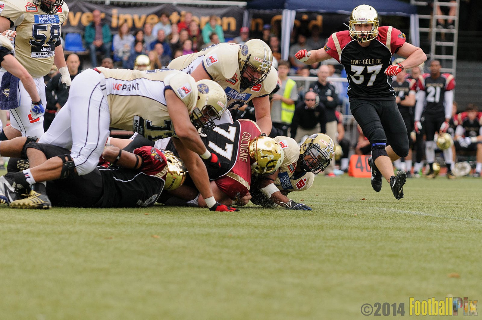 Köln Falcons vs. Dresden Monarchs - 24.08.2014 GFL Nord: Köln Falcons vs. Dresden Monarchs (25:39) 