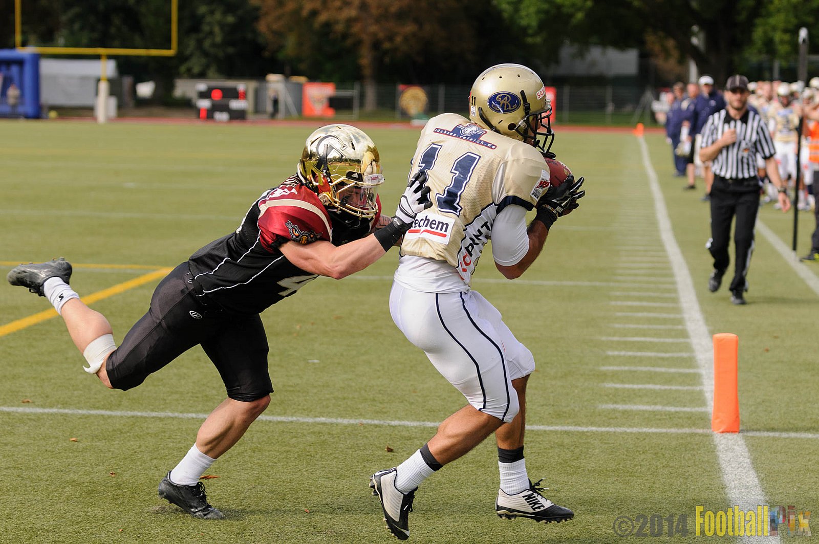 Köln Falcons vs. Dresden Monarchs - 24.08.2014 GFL Nord: Köln Falcons vs. Dresden Monarchs (25:39) 