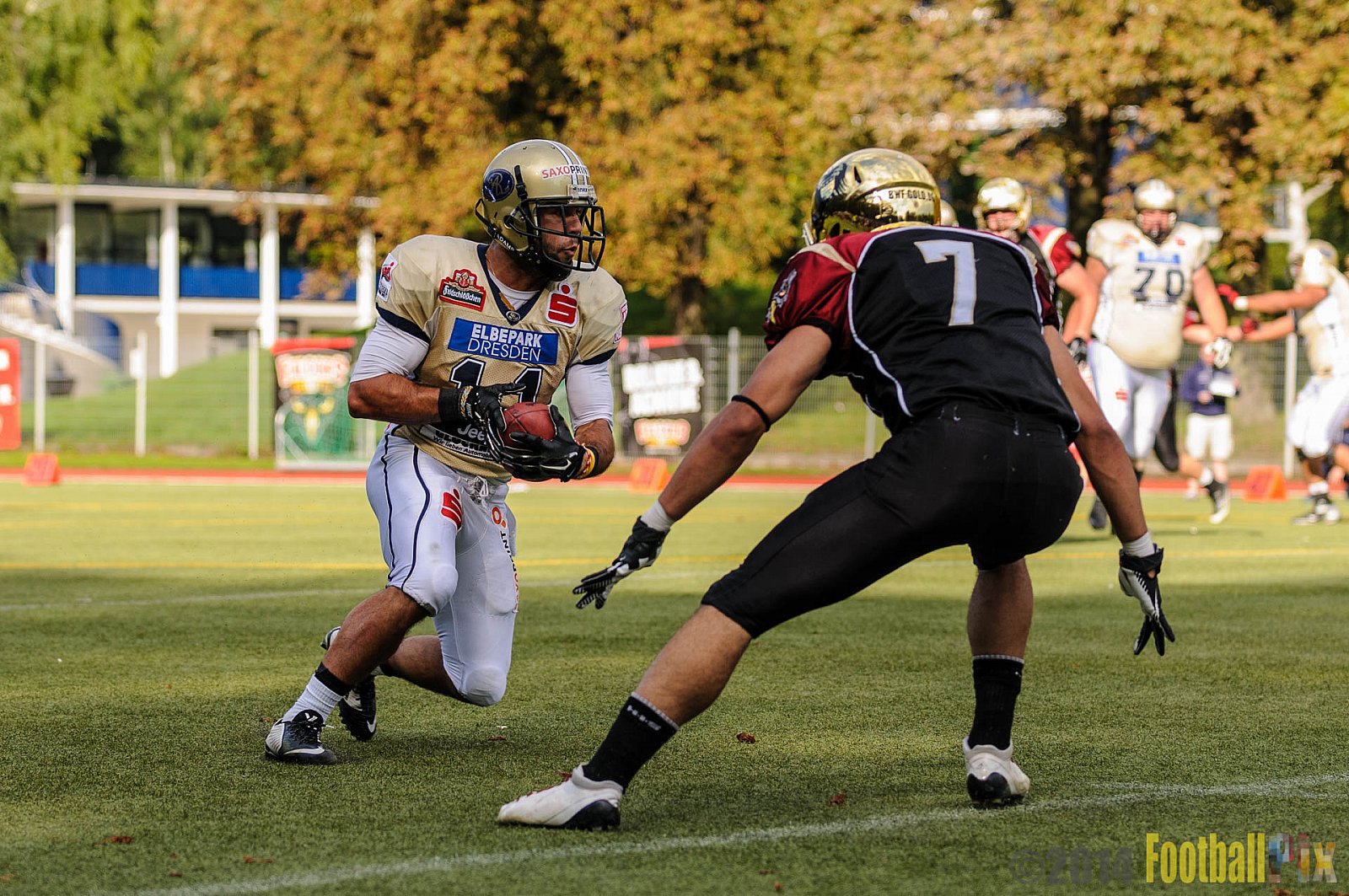 Köln Falcons vs. Dresden Monarchs - 24.08.2014 GFL Nord: Köln Falcons vs. Dresden Monarchs (25:39) 