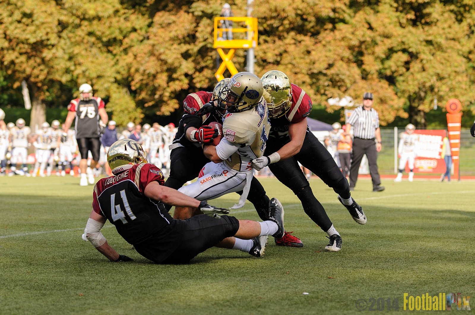 Köln Falcons vs. Dresden Monarchs - 24.08.2014 GFL Nord: Köln Falcons vs. Dresden Monarchs (25:39) 
