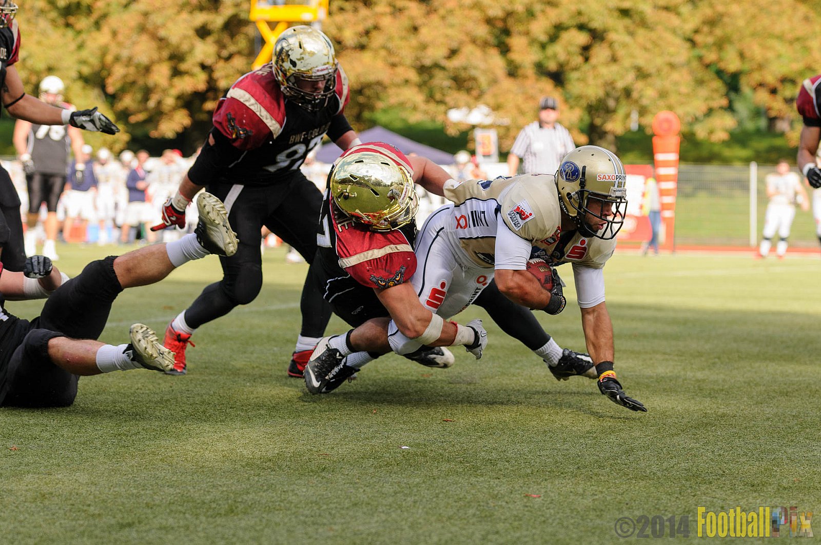 Köln Falcons vs. Dresden Monarchs - 24.08.2014 GFL Nord: Köln Falcons vs. Dresden Monarchs (25:39) 