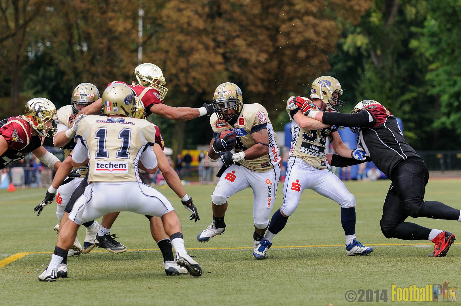 Köln Falcons vs. Dresden Monarchs - 24.08.2014 GFL Nord: Köln Falcons vs. Dresden Monarchs (25:39) 