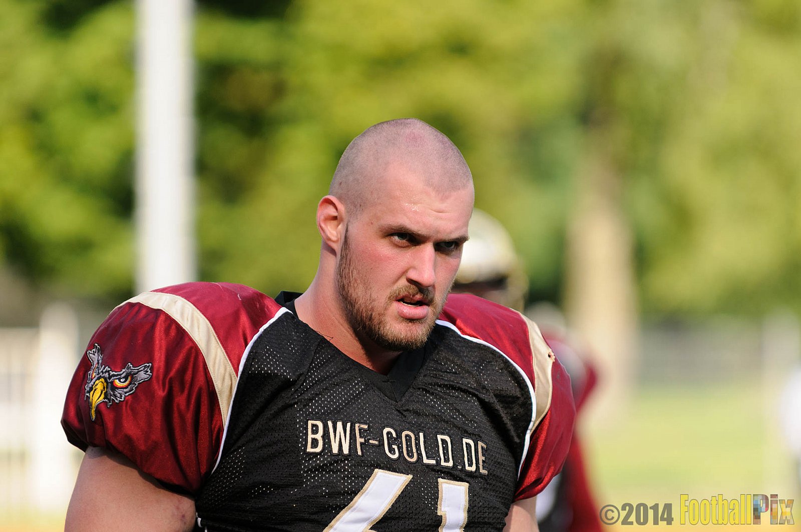 Köln Falcons vs. Dresden Monarchs - 24.08.2014 GFL Nord: Köln Falcons vs. Dresden Monarchs (25:39) 