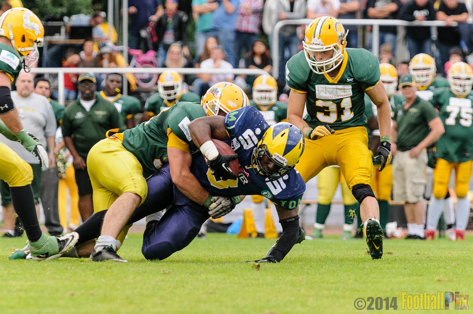 Cologne Crocodiles vs. Hildesheim Invaders  - 14.09.2014 GFL2 Nord: Cologne Crocodiles vs. Hildesheim Invaders (56:28) 