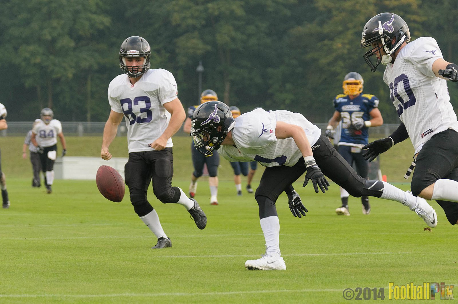 Essen Assindia Cardinals vs. Langenfeld Longhorns - 20.09.2014 Essen Assindia Cardinals vs. Langenfeld Longhorns (50:37) 