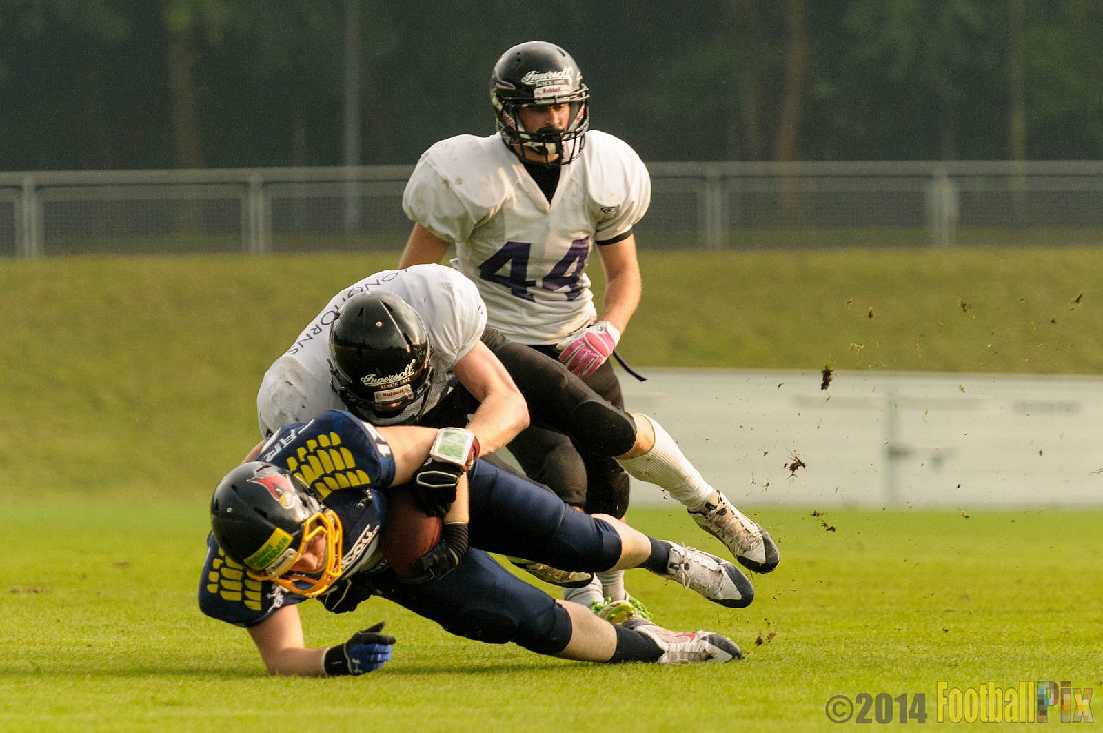 Essen Assindia Cardinals vs. Langenfeld Longhorns - 20.09.2014 Essen Assindia Cardinals vs. Langenfeld Longhorns (50:37) 