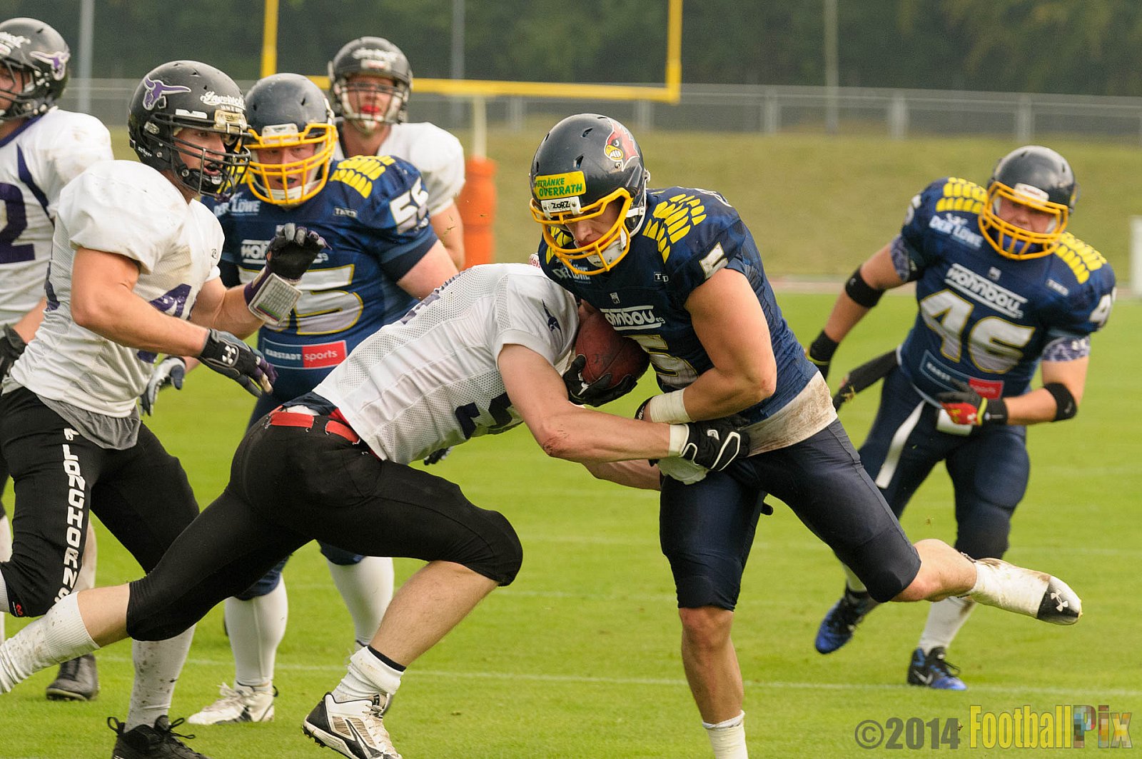 Essen Assindia Cardinals vs. Langenfeld Longhorns - 20.09.2014 Essen Assindia Cardinals vs. Langenfeld Longhorns (50:37) 