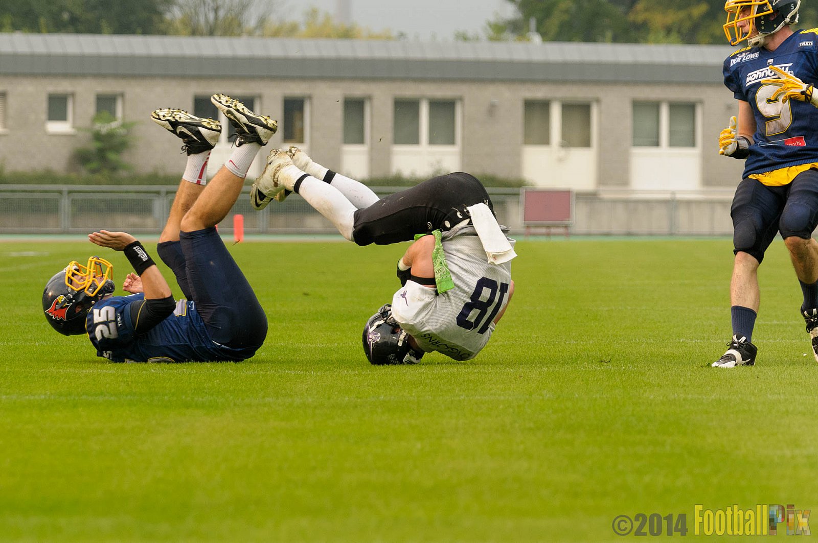 Essen Assindia Cardinals vs. Langenfeld Longhorns - 20.09.2014 Essen Assindia Cardinals vs. Langenfeld Longhorns (50:37) 