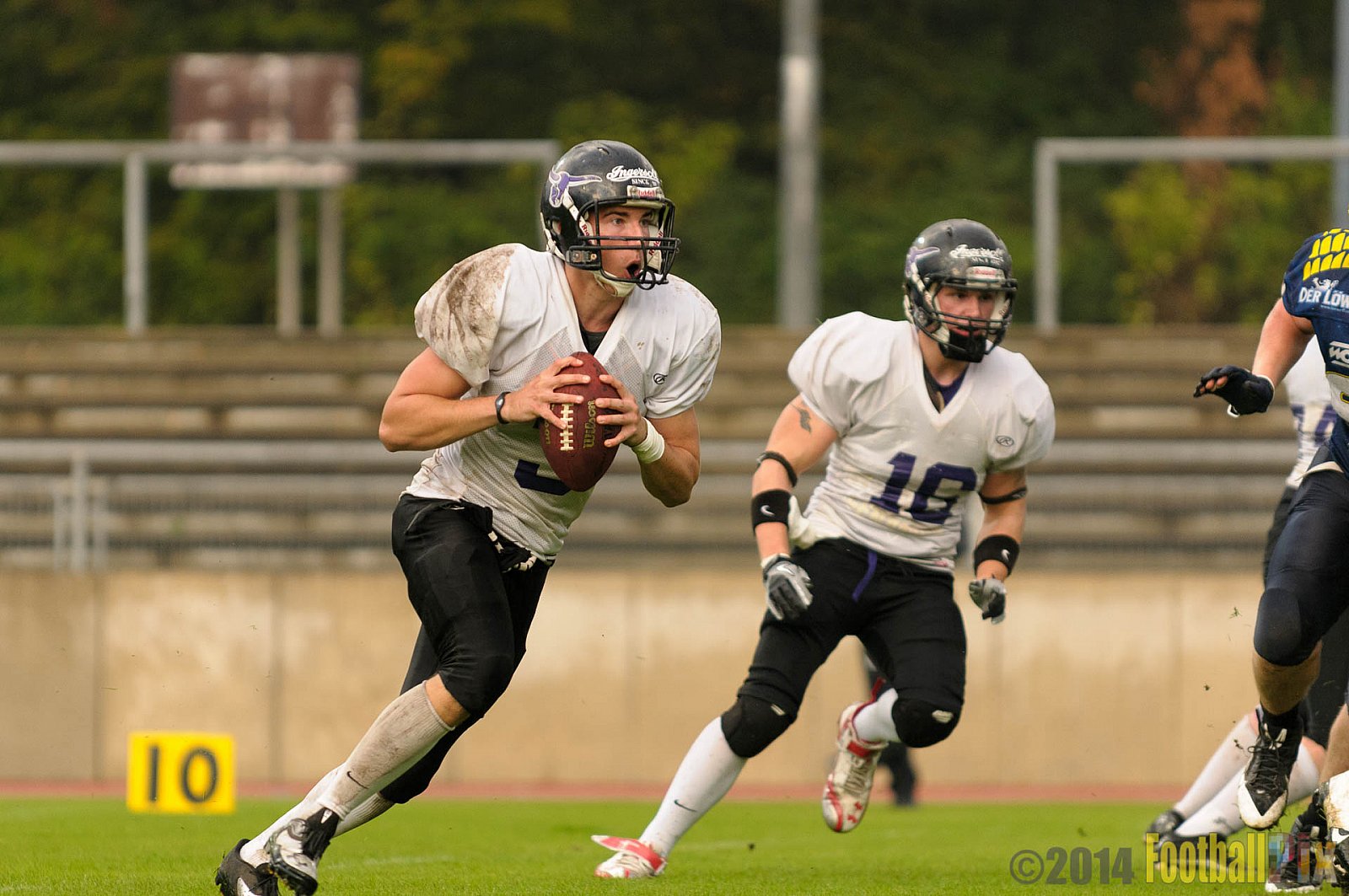 Essen Assindia Cardinals vs. Langenfeld Longhorns - 20.09.2014 Essen Assindia Cardinals vs. Langenfeld Longhorns (50:37) 