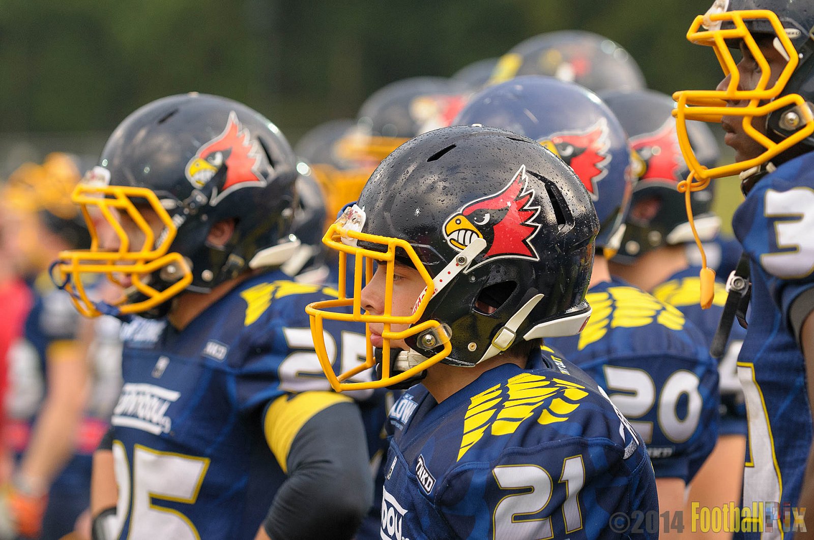 Essen Assindia Cardinals vs. Langenfeld Longhorns - 20.09.2014 Essen Assindia Cardinals vs. Langenfeld Longhorns (50:37) 