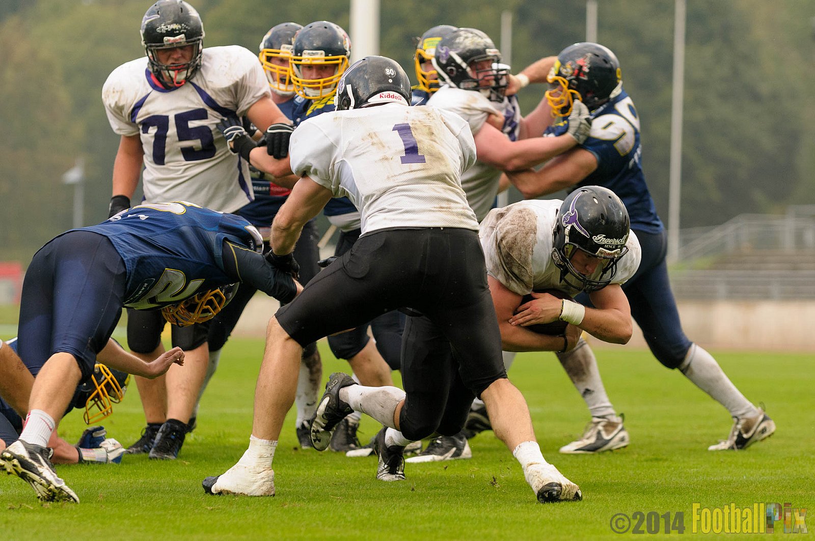 Essen Assindia Cardinals vs. Langenfeld Longhorns - 20.09.2014 Essen Assindia Cardinals vs. Langenfeld Longhorns (50:37) 