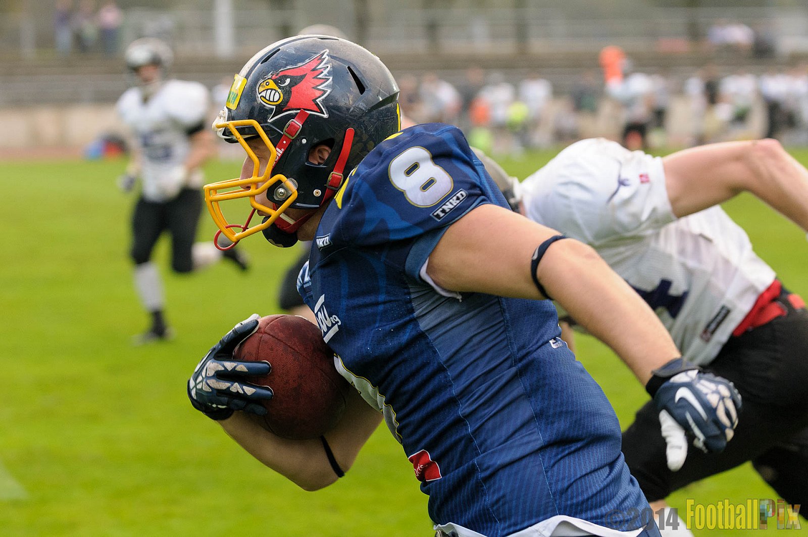 Essen Assindia Cardinals vs. Langenfeld Longhorns - 20.09.2014 Essen Assindia Cardinals vs. Langenfeld Longhorns (50:37) 