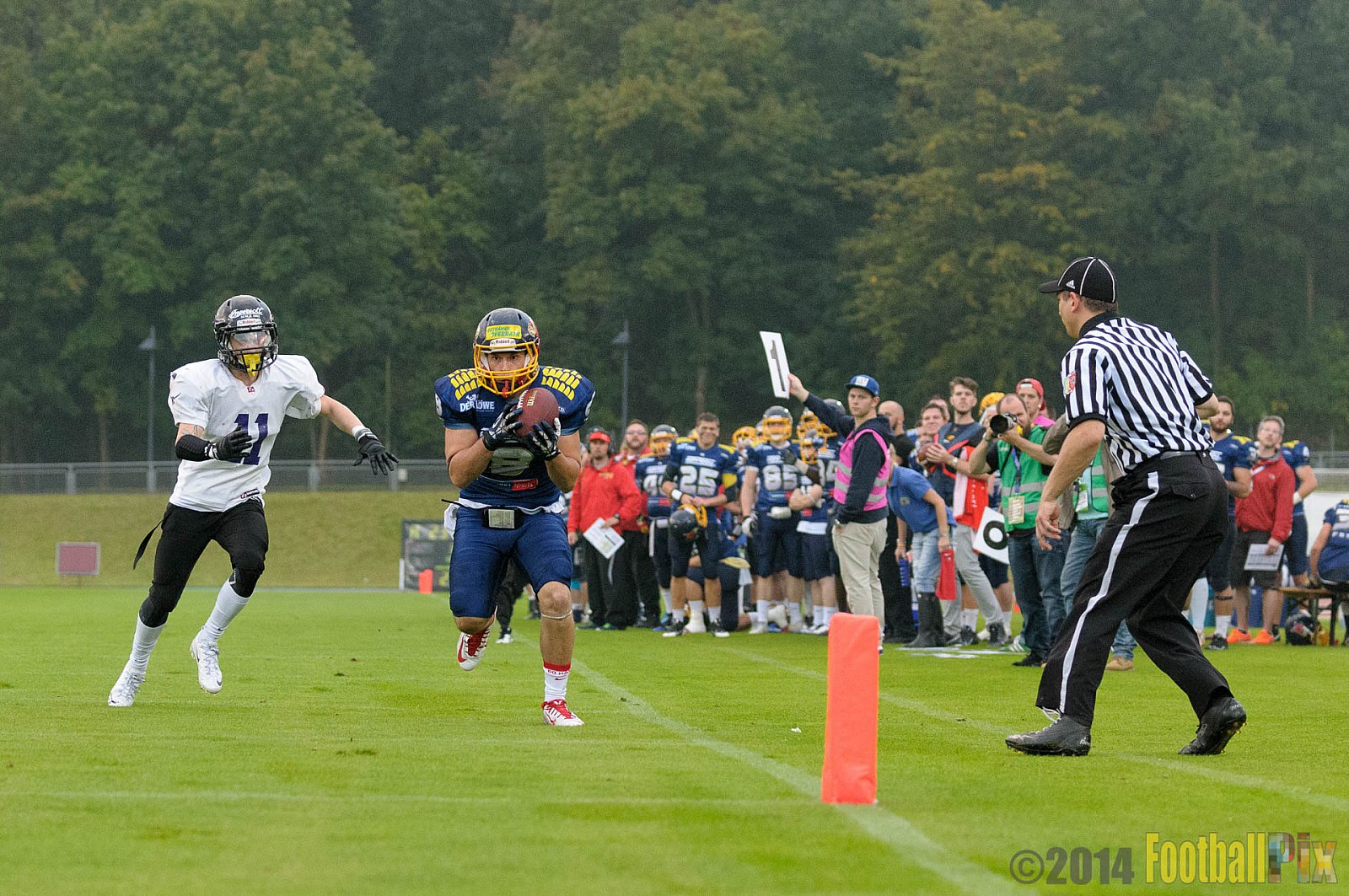 Essen Assindia Cardinals vs. Langenfeld Longhorns - 20.09.2014 Essen Assindia Cardinals vs. Langenfeld Longhorns (50:37) 