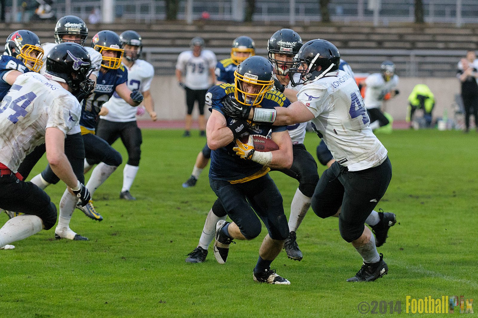 Essen Assindia Cardinals vs. Langenfeld Longhorns - 20.09.2014 Essen Assindia Cardinals vs. Langenfeld Longhorns (50:37) 