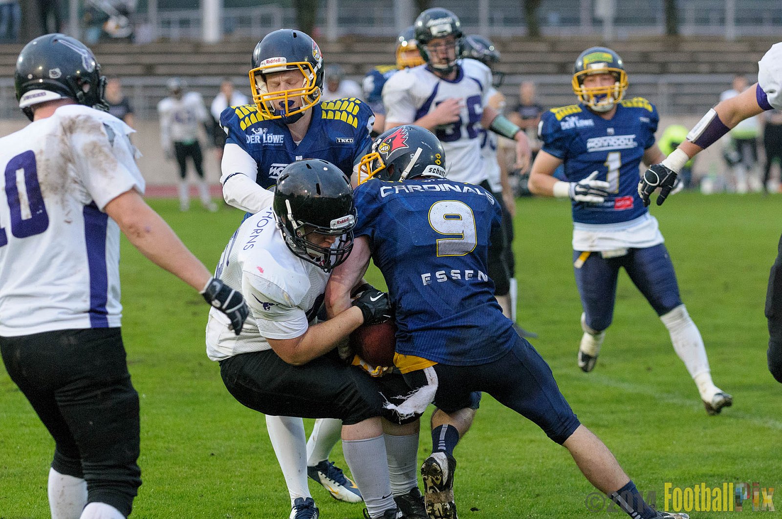 Essen Assindia Cardinals vs. Langenfeld Longhorns - 20.09.2014 Essen Assindia Cardinals vs. Langenfeld Longhorns (50:37) 