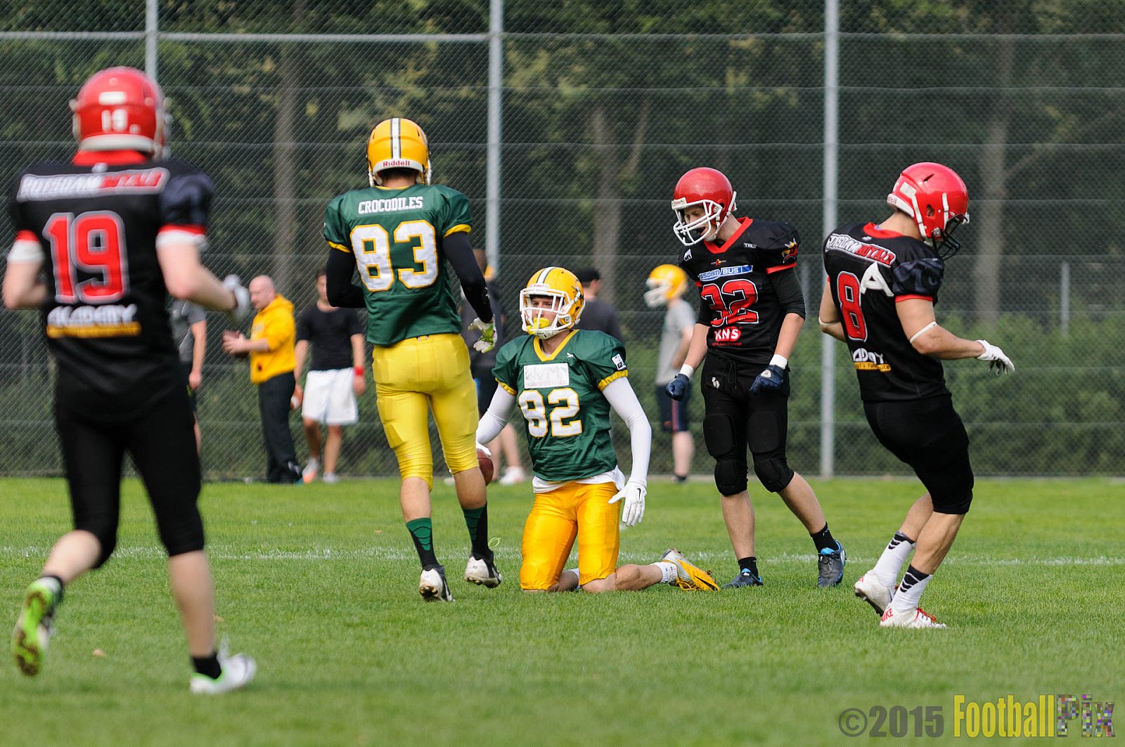 Cologne Crocodiles vs. Potsdam Royals - 12.09.2015 GFL2 Nord: Cologne Crocodiles vs. Potsdam Royals (48:21)