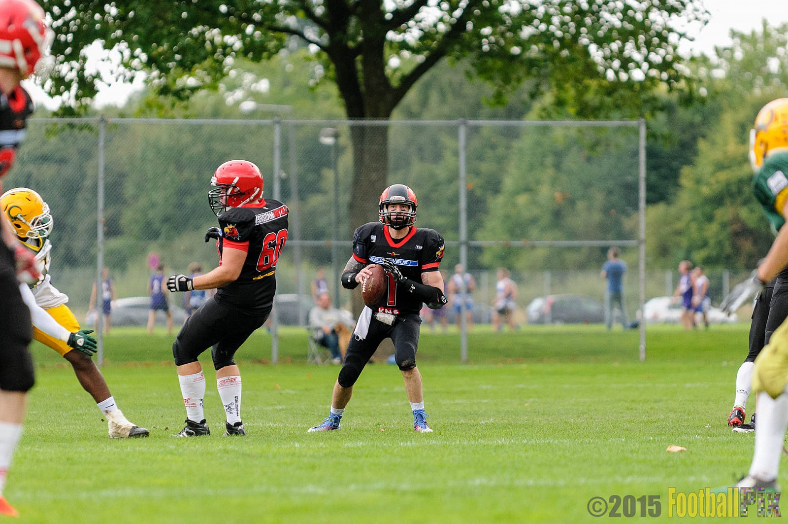 Cologne Crocodiles vs. Potsdam Royals - 12.09.2015 GFL2 Nord: Cologne Crocodiles vs. Potsdam Royals (48:21)